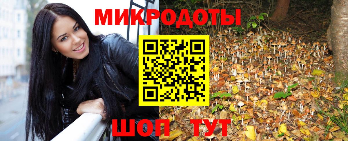Вязьма  Галлюциногенные грибы мицелий  Вход с VPN 