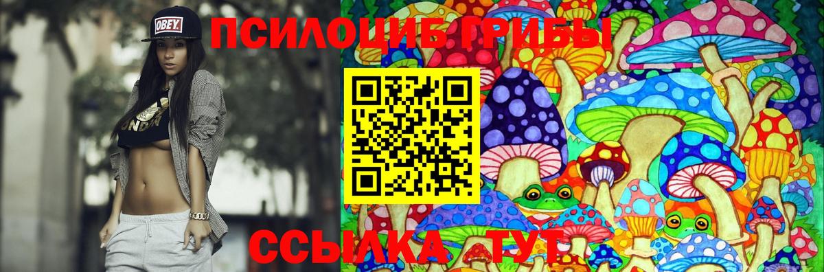 Псилоцибиновые грибы прущие грибы Вязьма